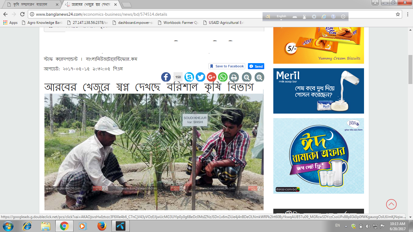 খেজুর চাষের সম্ভবনা